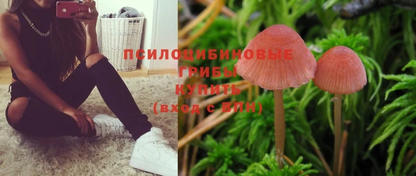 таблы Лагань